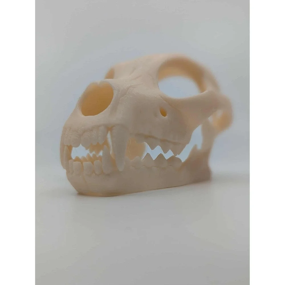 Dog Skull Hide, Reptile enrichment,‎ Tank Decor